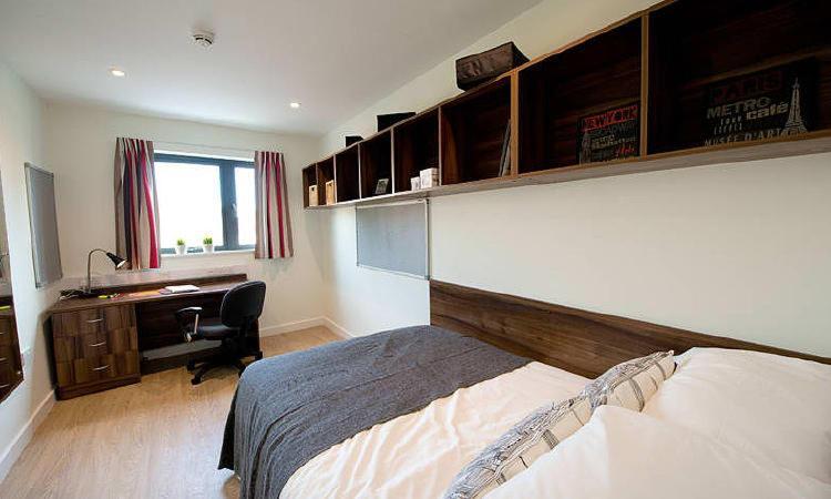 Zeni 5 Bed Apartment In Central Exeter Buitenkant foto